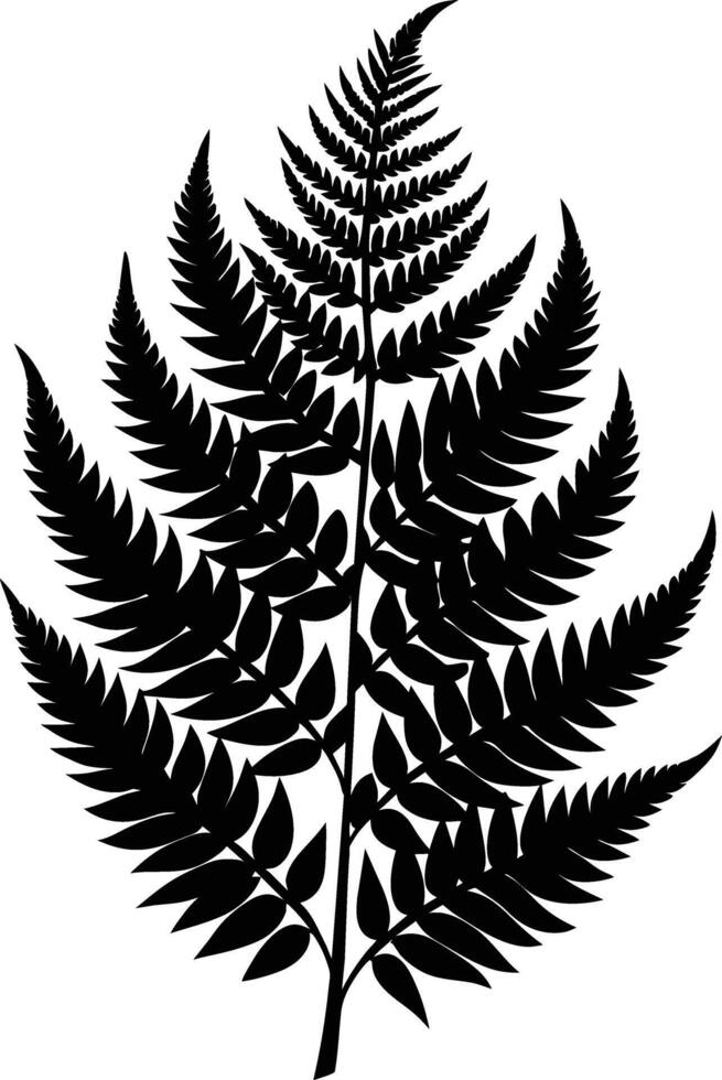 A black and white silhouette of a fern leaf vector
