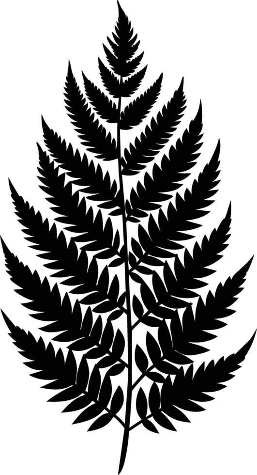 A black and white silhouette of a fern leaf vector