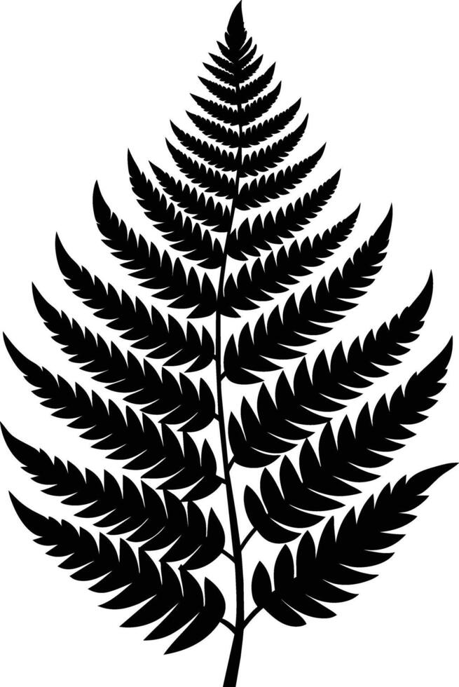 A black and white silhouette of a fern leaf vector