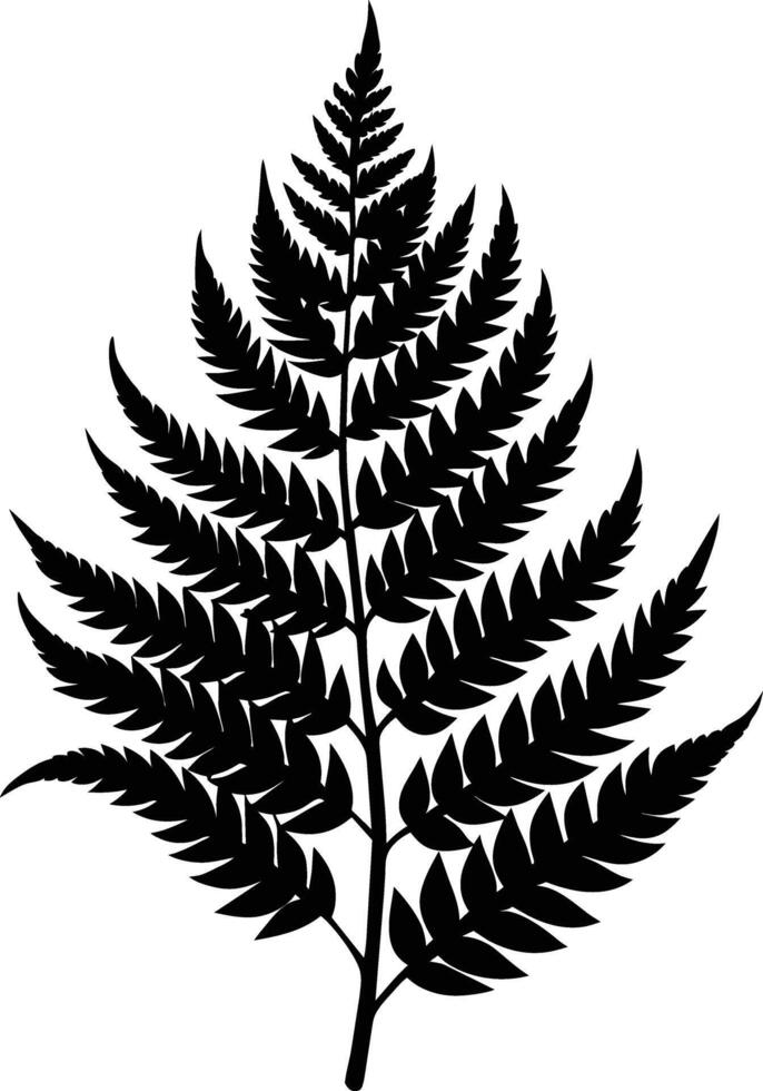 A black and white silhouette of a fern leaf vector