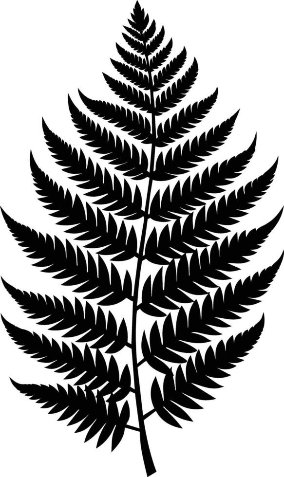 A black and white silhouette of a fern leaf vector