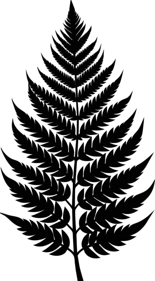 A black and white silhouette of a fern leaf vector