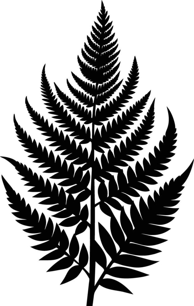 A black and white silhouette of a fern leaf vector