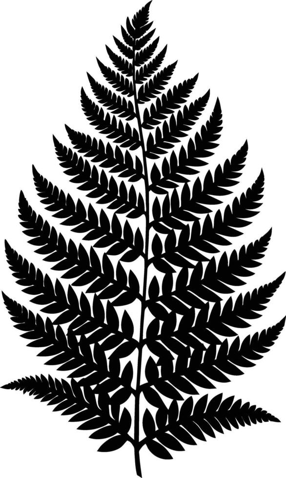 A black and white silhouette of a fern leaf vector