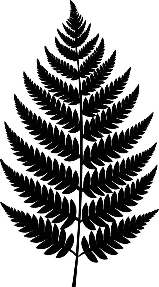 A black and white silhouette of a fern leaf vector