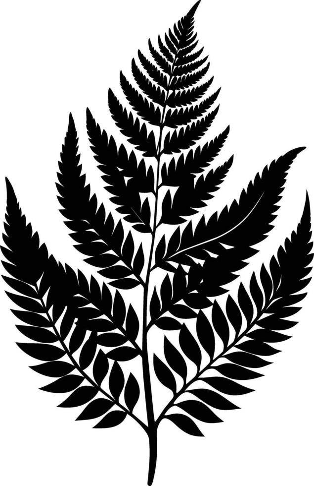 A black and white silhouette of a fern leaf vector