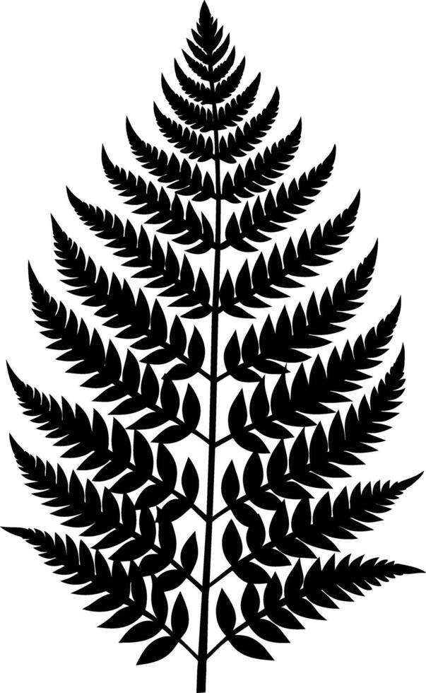 A black and white silhouette of a fern leaf vector