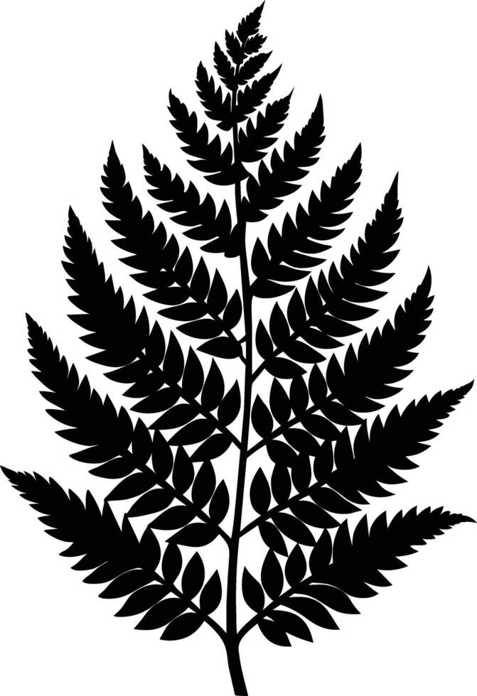 A black and white silhouette of a fern leaf vector