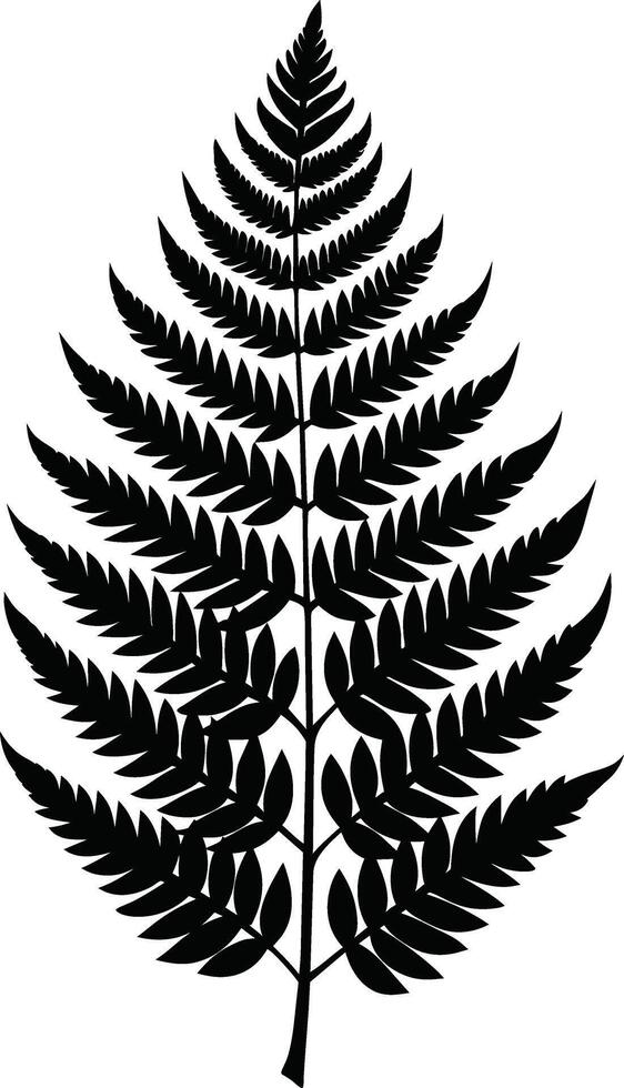 A black and white silhouette of a fern leaf vector