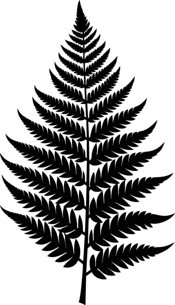 A black and white silhouette of a fern leaf vector