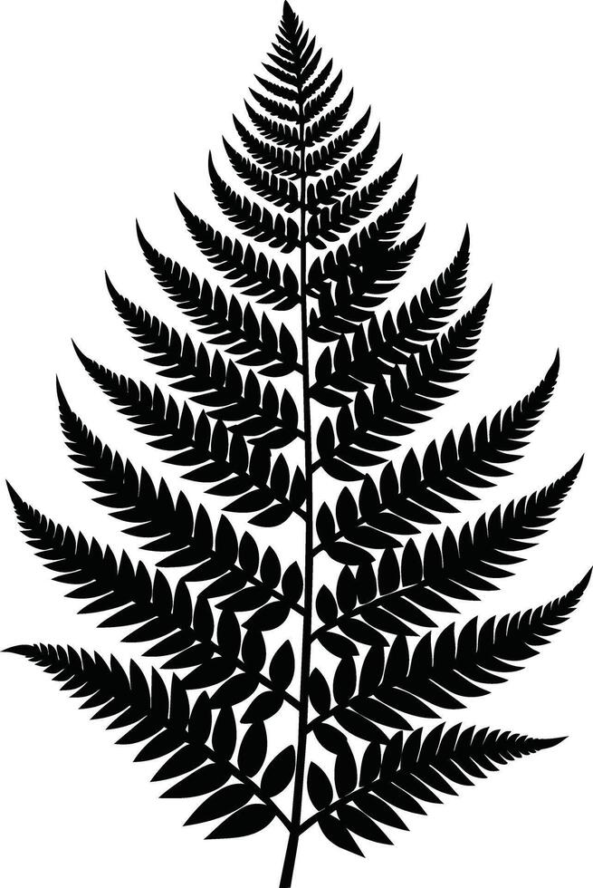 A black and white silhouette of a fern leaf vector