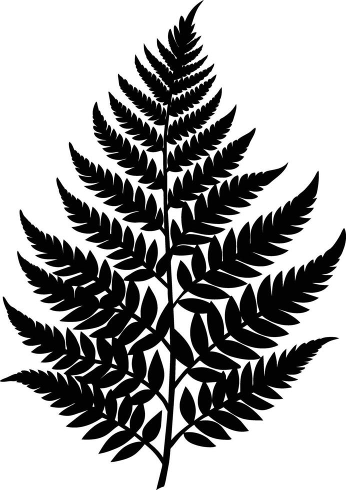 A black and white silhouette of a fern leaf vector