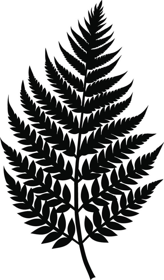 A black and white silhouette of a fern leaf vector