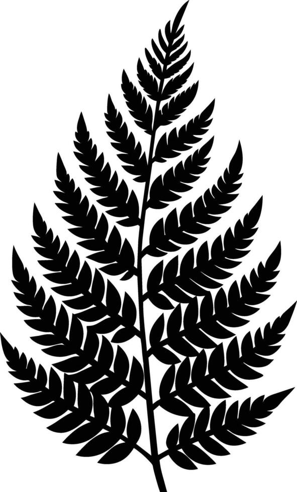 A black and white silhouette of a fern leaf vector