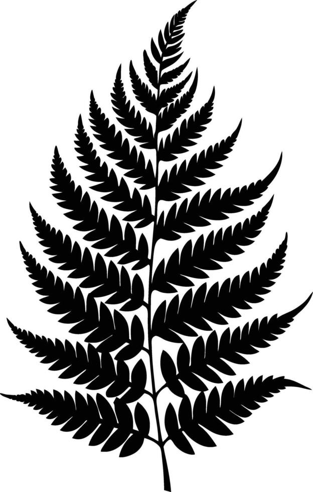 A black and white silhouette of a fern leaf vector