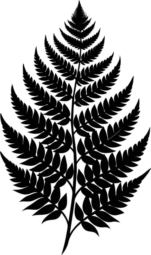 A black and white silhouette of a fern leaf vector