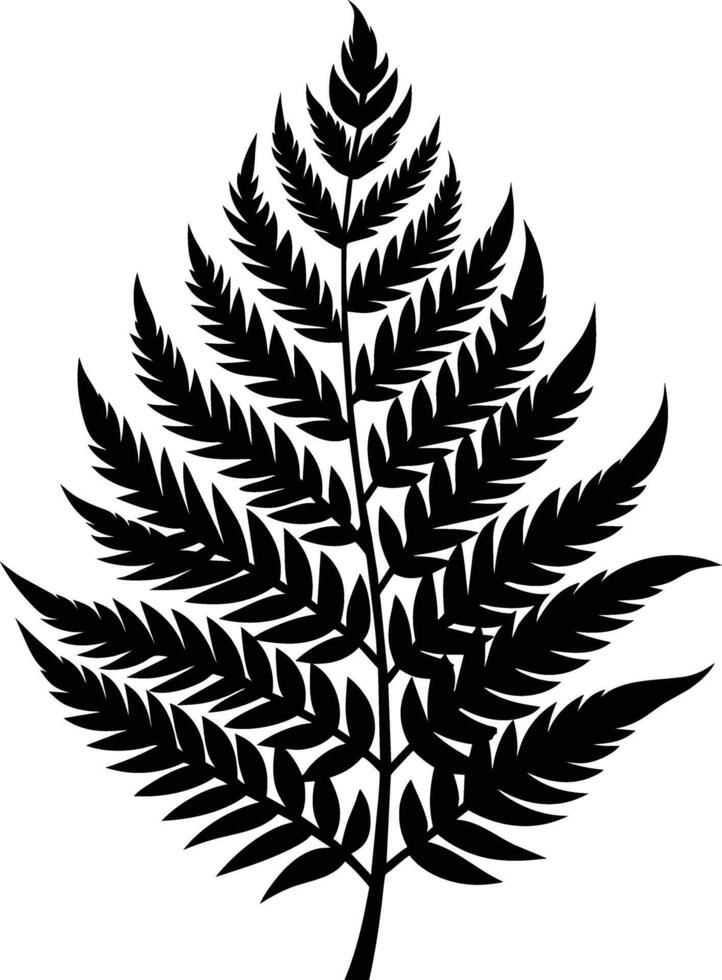 A black and white silhouette of a fern leaf vector