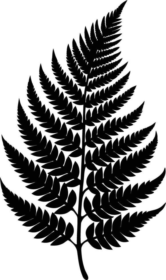 A black and white silhouette of a fern leaf vector