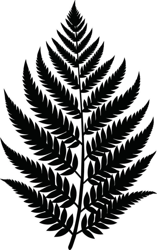 A black and white silhouette of a fern leaf vector