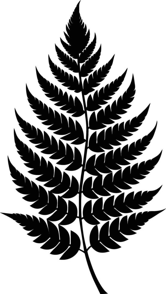 A black and white silhouette of a fern leaf vector