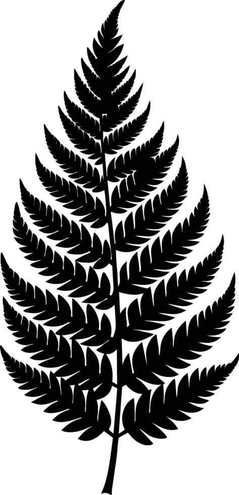 A black and white silhouette of a fern leaf vector