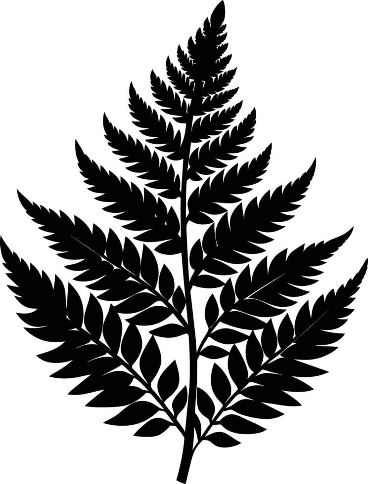 A black and white silhouette of a fern leaf vector