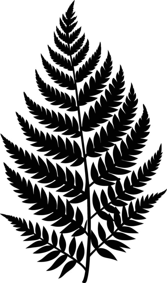 A black and white silhouette of a fern leaf vector
