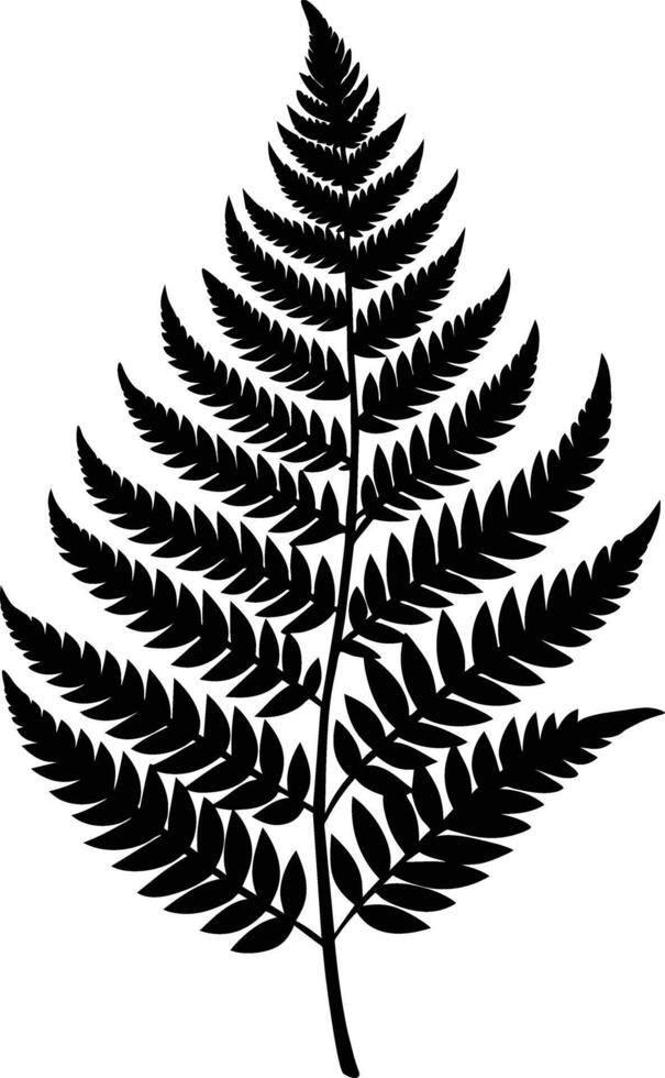 A black and white silhouette of a fern leaf vector