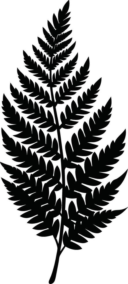 A black and white silhouette of a fern leaf vector