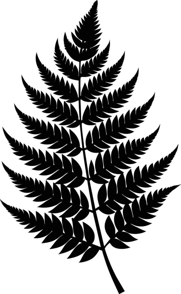 A black and white silhouette of a fern leaf vector