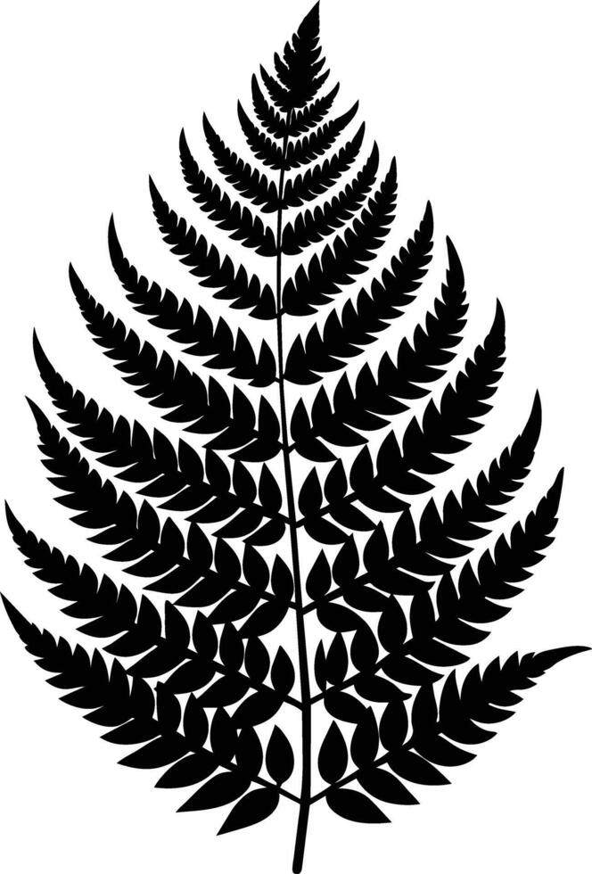 A black and white silhouette of a fern leaf vector