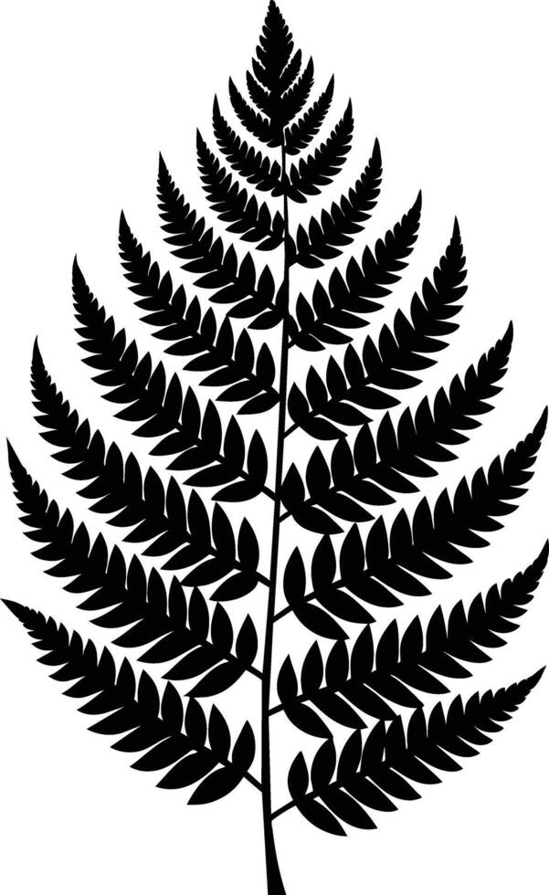 A black and white silhouette of a fern leaf vector