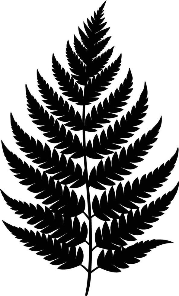 A black and white silhouette of a fern leaf vector