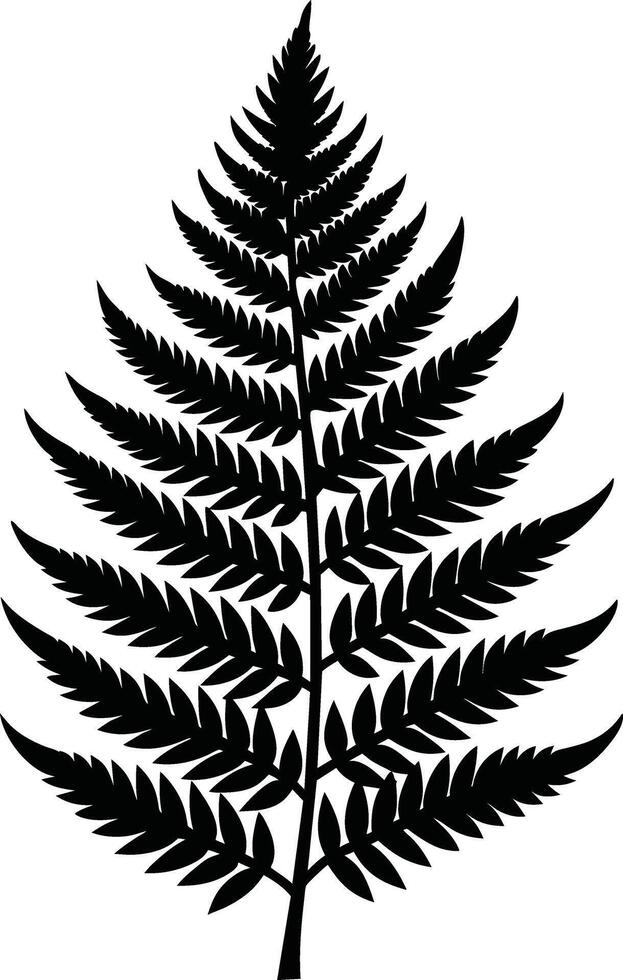 A black and white silhouette of a fern leaf vector