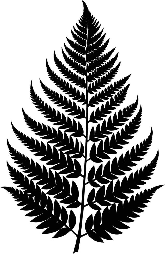 A black and white silhouette of a fern leaf vector