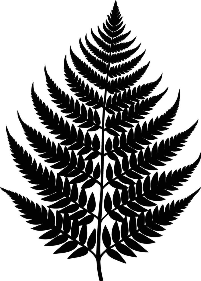 A black and white silhouette of a fern leaf vector