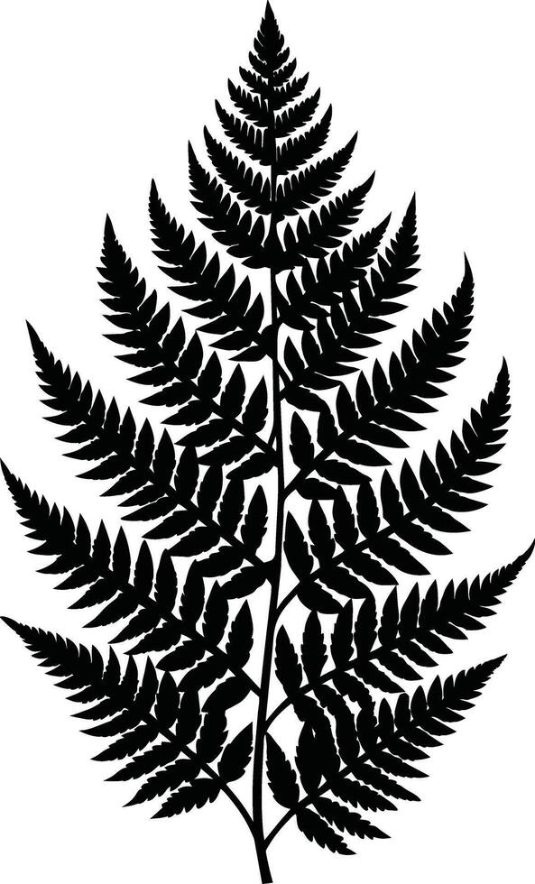 A black and white silhouette of a fern leaf vector