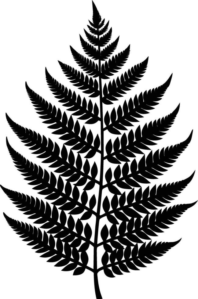 A black and white silhouette of a fern leaf vector