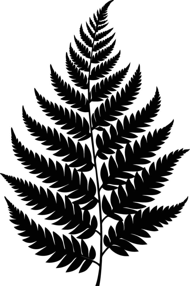 A black and white silhouette of a fern leaf vector