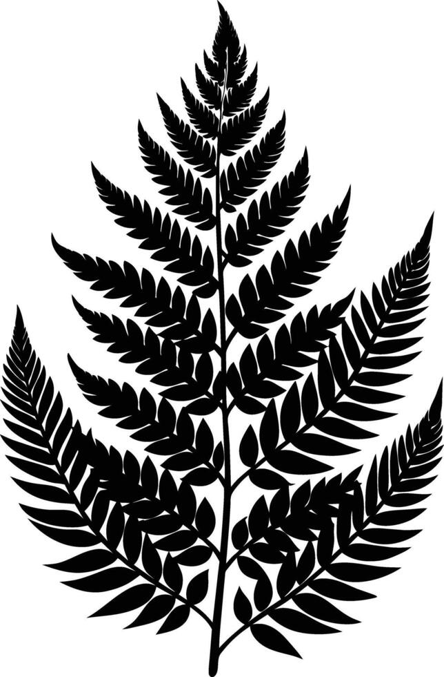 A black and white silhouette of a fern leaf vector