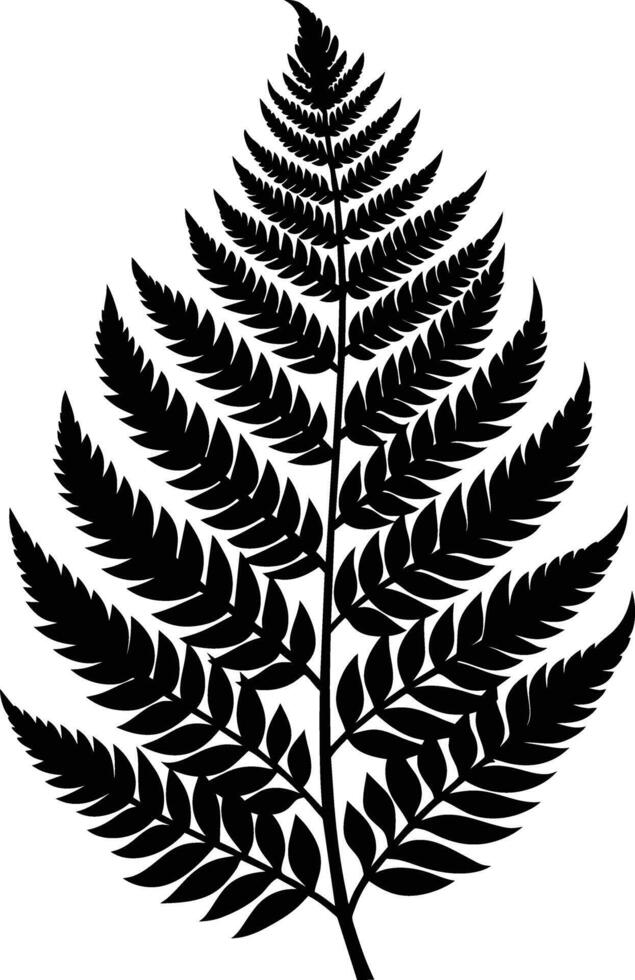 A black and white silhouette of a fern leaf vector