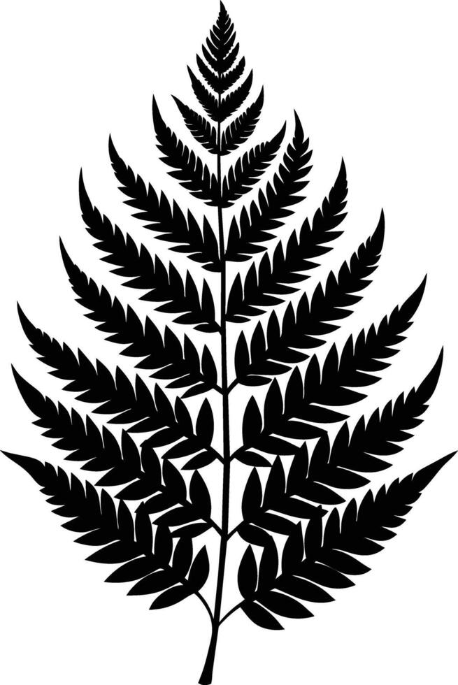 A black and white silhouette of a fern leaf vector