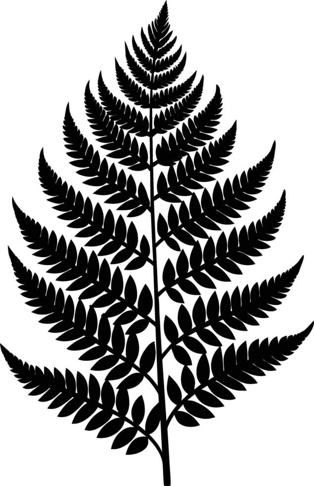 A black and white silhouette of a fern leaf vector