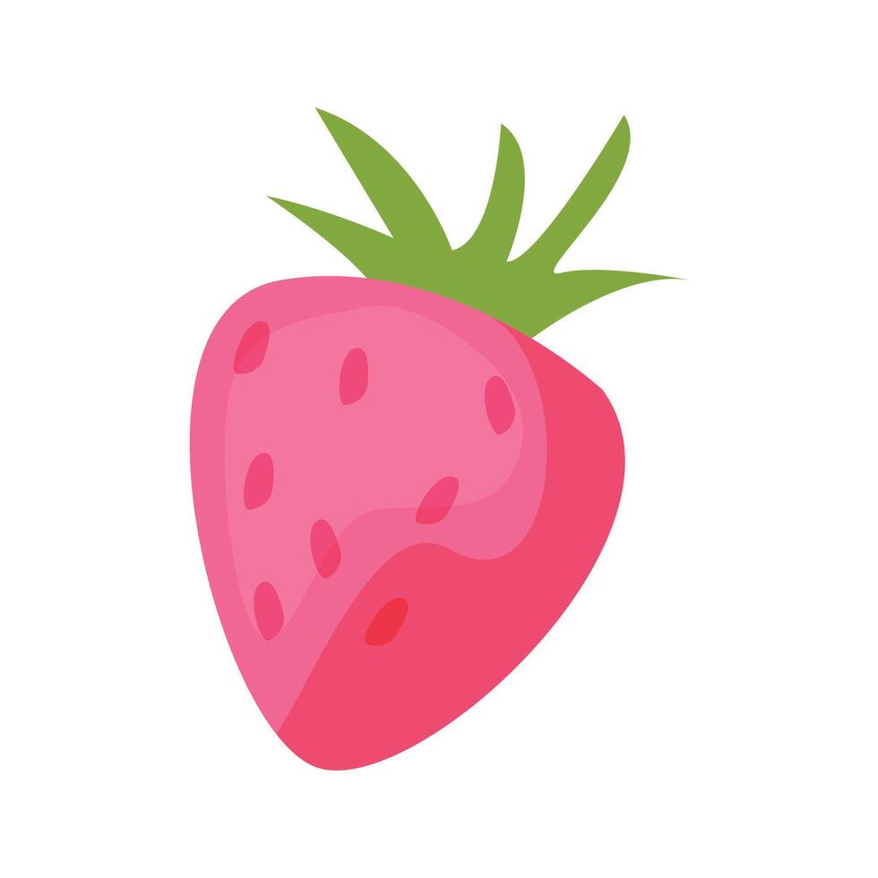 strawberry fruit fresh on white background vector