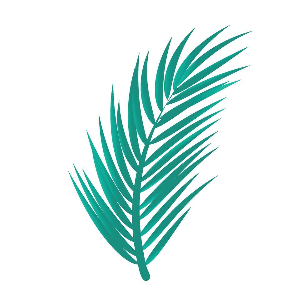 palm tree leaves isolated illustration vector