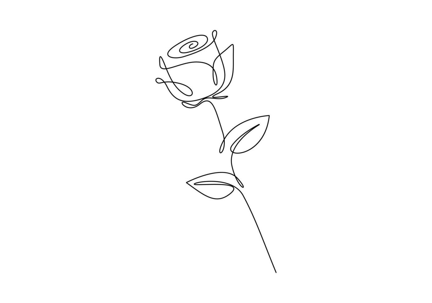 Rose flower continuous one line drawing premium illustration vector
