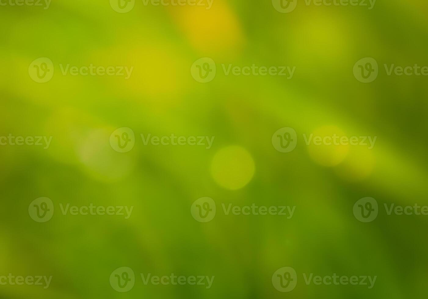 Abstract bokeh out of focus blurred color nature background. photo