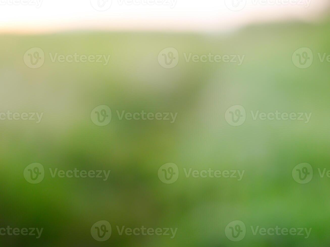 Abstract bokeh out of focus blurred color nature background. photo