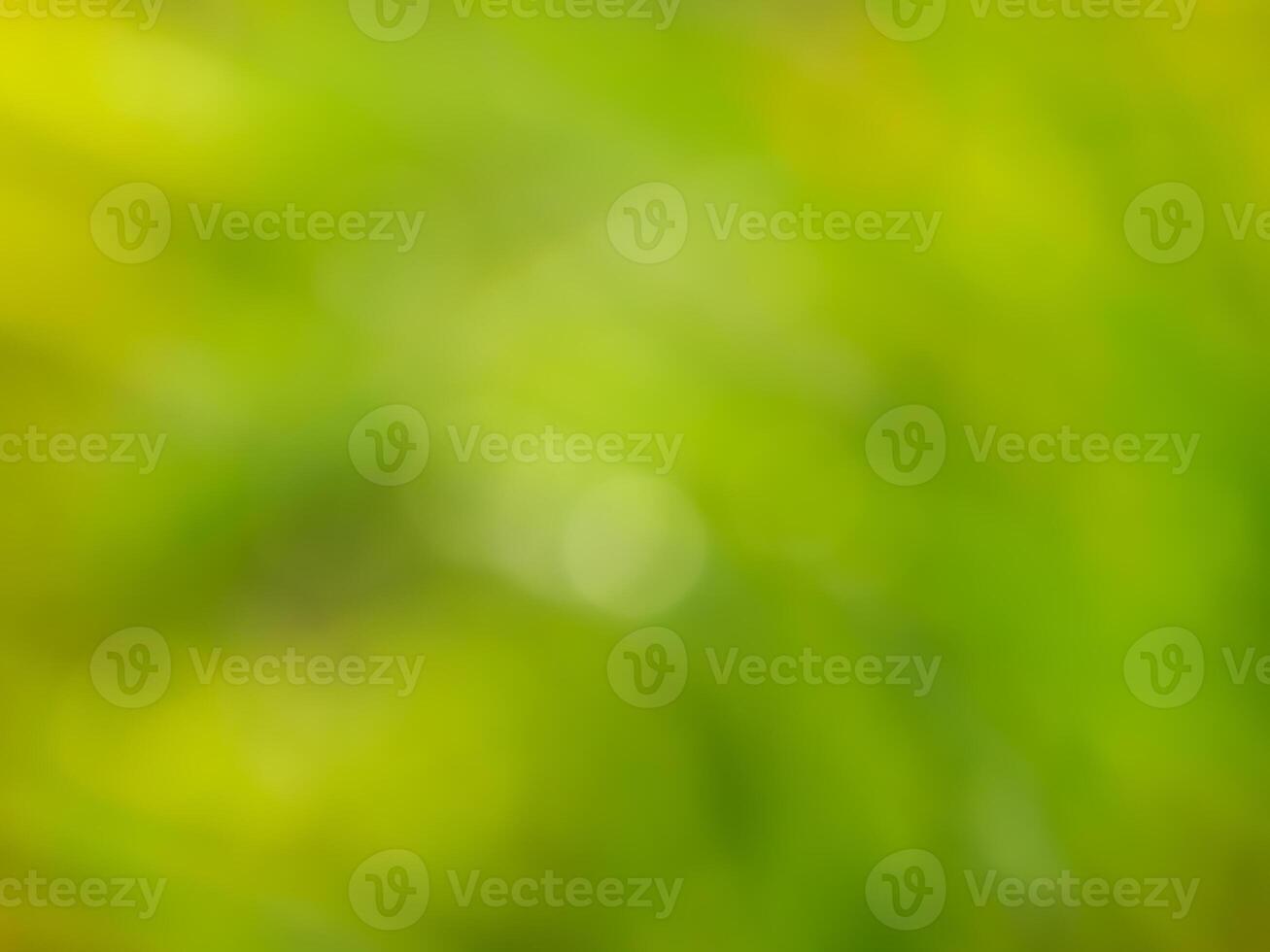 Abstract bokeh out of focus blurred color nature background. photo