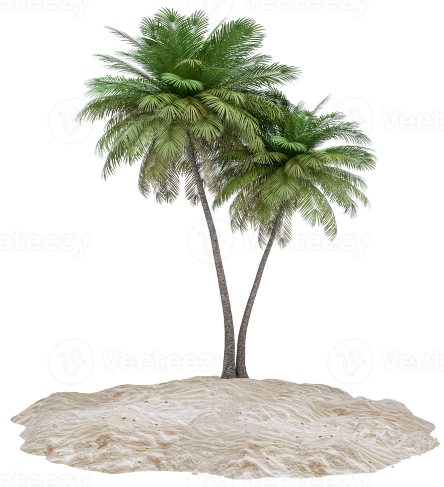 Sandy island and coconut palm tree isolated on background. Piece of round beach with sand for vacation, travel, summer, leisure and enjoy. Summer beach vacation scene concept. 3d rendering png